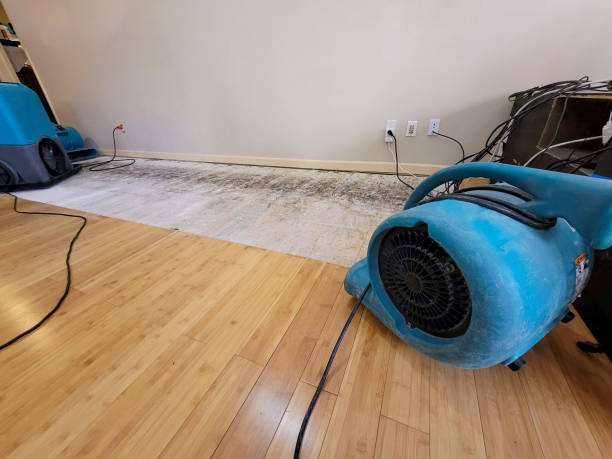 Professional Emergency Water Damage technician working in Springville, AL